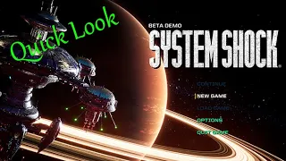 SYSTEM SHOCK REMAKE (Demo) ... Diving into 80's-style cyberpunk //PC, 4K