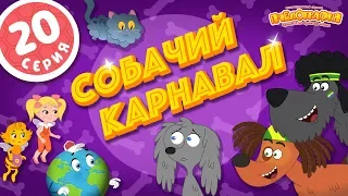 ПЧЕЛОГРАФИЯ  -  20 серия - Собачий карнавал.