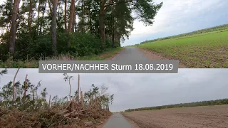 Vorher/Nachher Sturmschäden Seligenstadt Rodgau 18.08.2019