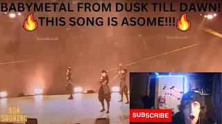 Babymetal - From Dusk Till Dawn Live Reaction Video! (DL Reacts!)