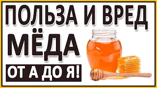 МЁД! Польза и вред Мёда! Правильный мёд. Нагрев, кариес, качество, хранение. Дикий мёд.