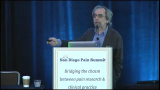 Dr. A. Vania Apkarian - The Brain in Chronic Pain