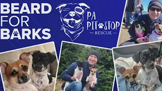 Area pet rescue, PA PitStop, seeks fosters as they try to give dogs a better life