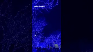 Shibuya “blue cave” illumination // 渋谷の青の洞窟のイルミネーション