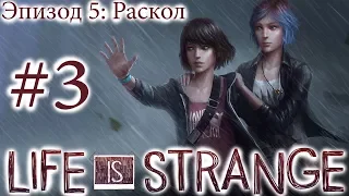 Life is Strange - Эпизод 5: Раскол #3 [русская озвучка, без комментариев]