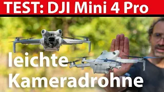 Drohnen-Test: DJI Mini 4 Pro für Einsteiger und Profis