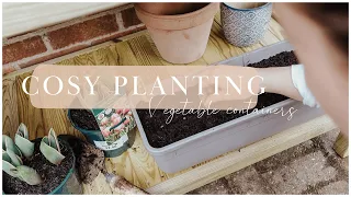 Cosy plant with me: Vegetable Container seed planting 🥕