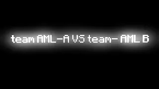 team AML a  vs  team AML b