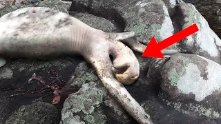 Teenagers Were Shocked When They Found This Bizarre Creature Inside A Cave!