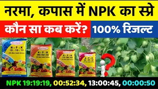 नरमा, कपास में कौन से NPK का स्प्रे कब करें | Water Soluble Fertilizer NPK | 100% रिजल्ट