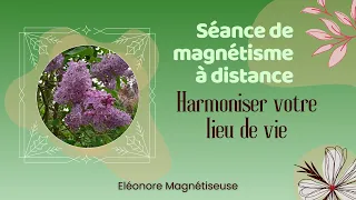 🫶 Harmoniser votre lieu de vie