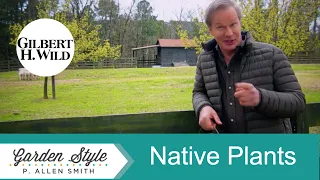 Incorporating Native Plants in the Garden & Home | Garden Style (1713)