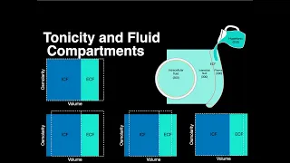 Tonicity and Fluid compartments #anatomy #osmolarity #physiology #solutions