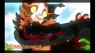 Warrior cats meme /Russ/(Чит. опис.)