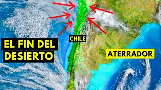 El Desierto de Atacama ATERRA a los Científicos ¡Se está Volviendo Verde! y esta es la razón..
