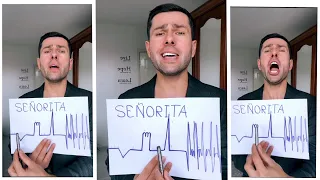 Senorita Cover Song (Harel Asaf) - #cover #song #thebest #short #funny #music