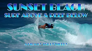 Sunset Beach Surf And Reef