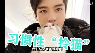 【俊哲｜浪浪钉】行为分析：惊！拎猫也能养成习惯？