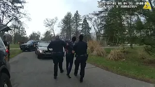 Full video released in Southfield arrest