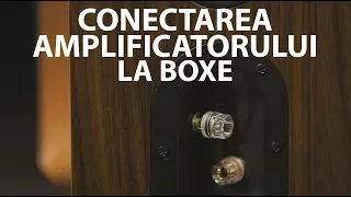 Tutorial: cum conectezi amplificatorul la boxe