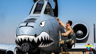 Warthog In Warzone! US Air Force deploys more A-10 Warthogs to Middle East