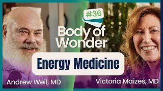 Body of Wonder - Exploring Energy Medicine with Ann Marie Chiasson, MD