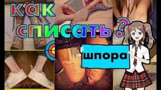 Как списать на экзамене в школе, в универе | Шпаргалка 3 способа | Не палимся