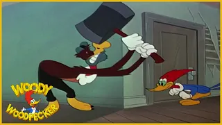 Woody Woodpecker Classic | Slingshot 6 7/8 | Full Episodes