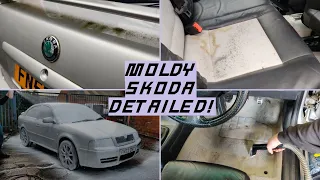 NEGLECTED Skoda Octavia VRS DEEP CLEANED after sitting for YEARS! - FULL DETAILING TRANSFORMATION!