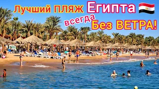 ЛУЧШИЙ пляж в Египте 🇪🇬 Мы в ШОКЕ❗️Пляж отеля Sharm Dreams Resort 5*, бухта Наама Бей, Шарм эль Шейх