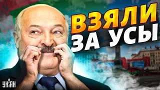 Лукашенко взяли за усы. В Минске прошло тревожное совещание. Дело пахнет керосином