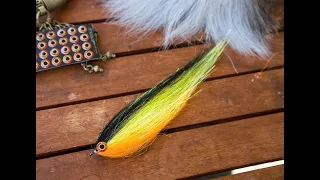 The four step pike fly