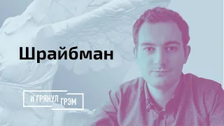 Шрайбман: блокировка «Нашей Нивы», зачем Протасевичу дали Твиттер, окопы и войнушка Лукашенко