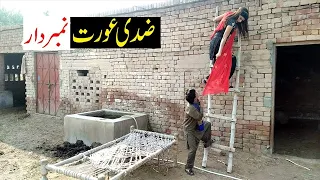 Number Daar  Or Zidi  Urat Funny  | New Top Funny |  Must Watch Top New Comedy Video 2020 | You Tv