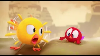 Angry Chicky | Where's Chicky?  | Cartoon Collection in English for Kids | New episodes