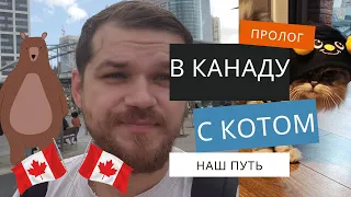 Мы Переезжаем в Канаду и Берем с Собой Кота 0.1