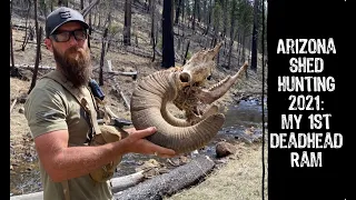 Arizona Shed Hunting 2021: Looking for Elk Sheds w/ Taylor - Part 3