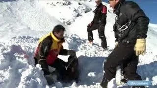 Avalanche : ces chiens qui vous sauvent la vie !