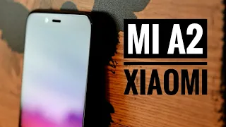 🔥 XIAOMI MI A2 - ОБЗОР | ХОРОШ, НО МОЖНО ЛУЧШЕ... (сяоми ми а2)