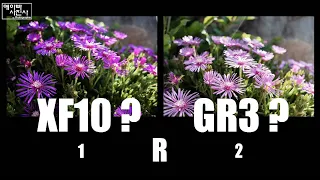 GR3 vs XF10, JPG color comparison, outdoor daylight standard photo result comparison