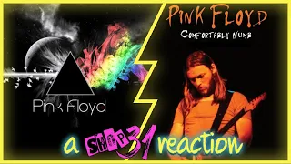 PUNK ROCK DAD reacts to PINK FLOYD "Comfortably Numb Live" (PULSE CONCERT PERFORMANCE) reaction