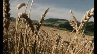 1980: Grüne zur Bundestagswahl