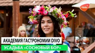 Академия гастрономии DiVo 2017 | Это Волгоград, детка | Видео из Волгограда