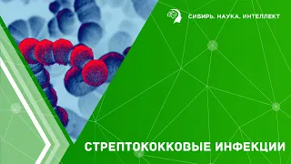 Стрептококковые инфекции