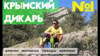 VLOG №49: Грибы, подгузник и мухомор. Начало дикого автопутешествия в Крым.