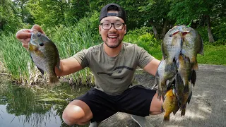 Fishing for GIANT Bluegills! (CATCH CLEAN COOK)