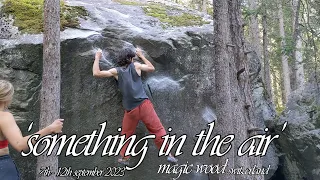 something in the air -  bouldering in magic wood