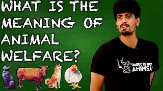 Animal Welfare vs Animal Rights | Lecture on Veganism | Humane Meat, Dairy & Eggs