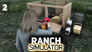 Теперь я здесь петух! 👨‍🌾 Ranch Simulator [PC 2021] #2