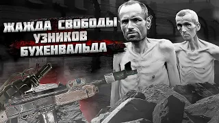 По концлагерям смерти и страха к свободе - Николай Кюнг. Восстание в Бухенвальде.